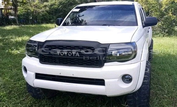Cars for sale in belize - belice.carrocarros